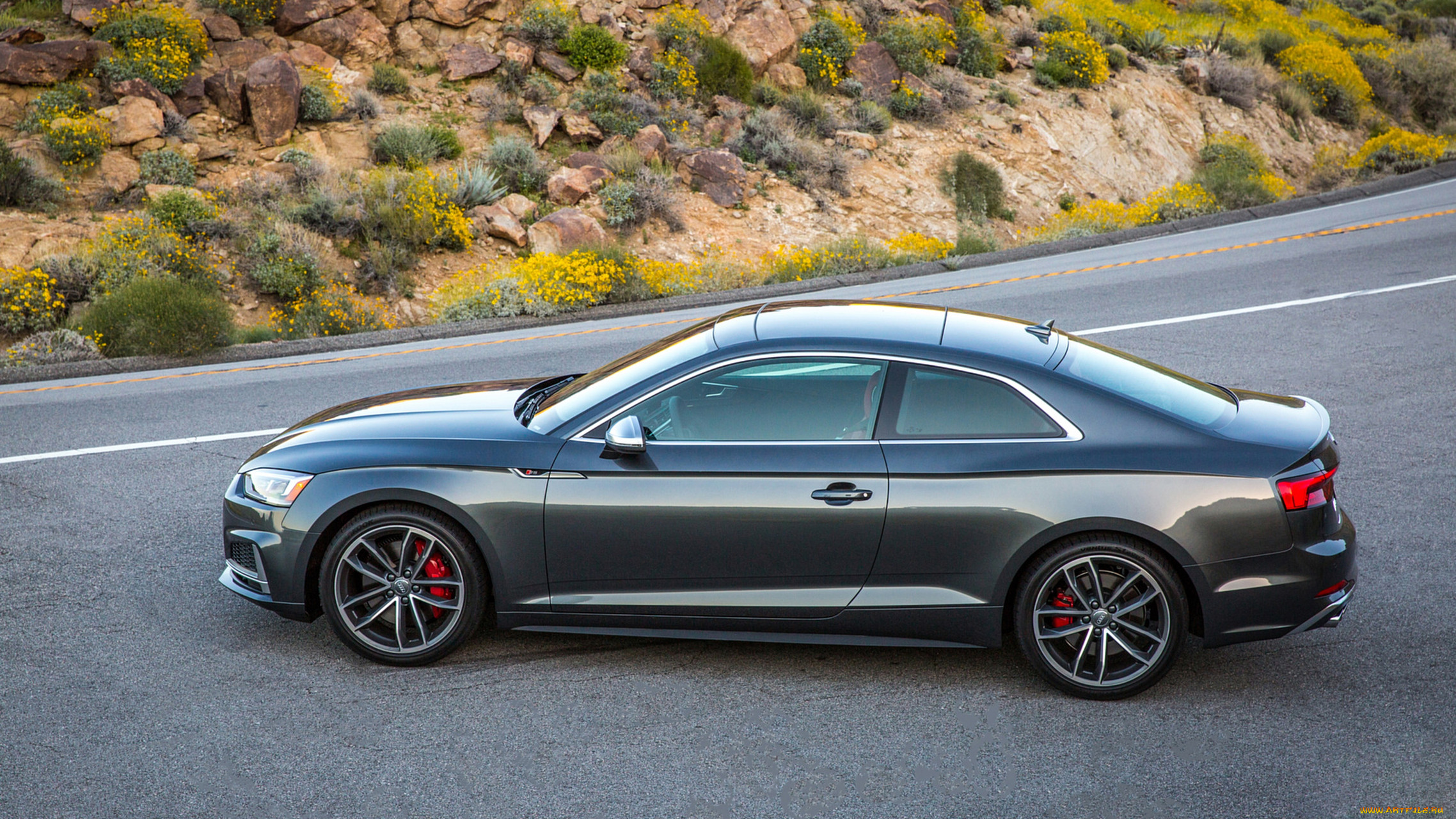 audi s5 coupe 2018, , audi, 2018, coupe, s5